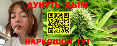 крисы Кингисепп