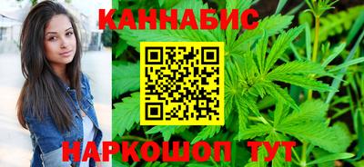 крисы Кингисепп