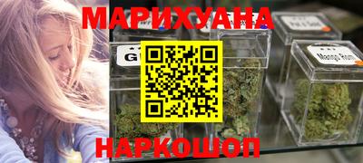 крисы Кингисепп