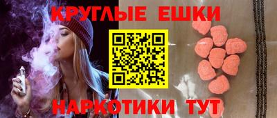 крисы Кингисепп