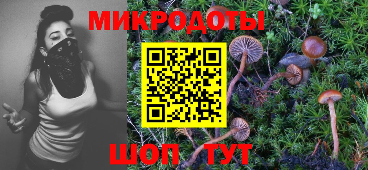 наркошоп  Вход с VPN  Кострома  Псилоцибиновые грибы Psilocybine cubensis 